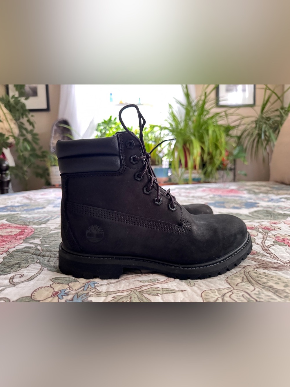 Women’s Timberland Waterville 6” double Collar Boots